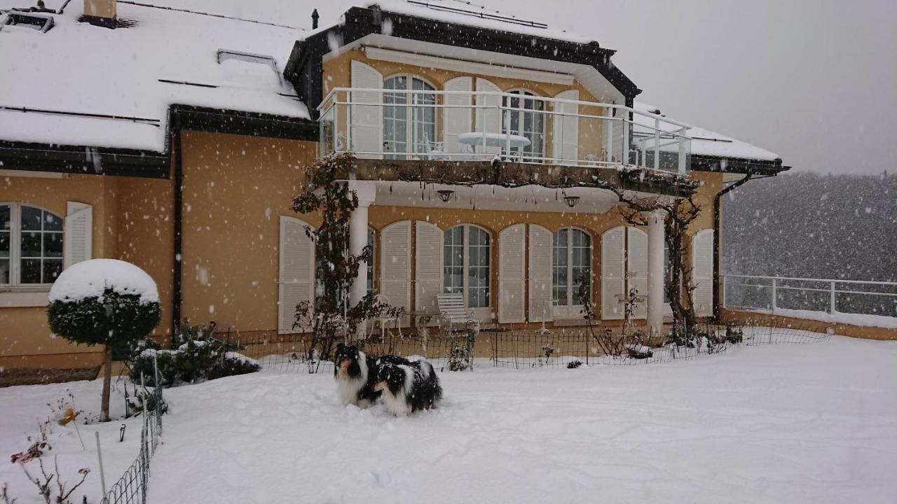 Le Lierre B&B Genolier ภายนอก รูปภาพ